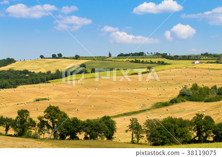 Tuscany hills landscape, Italy 38119075
