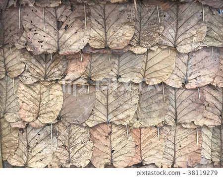 dry big leafs panels, Leafs background 38119279