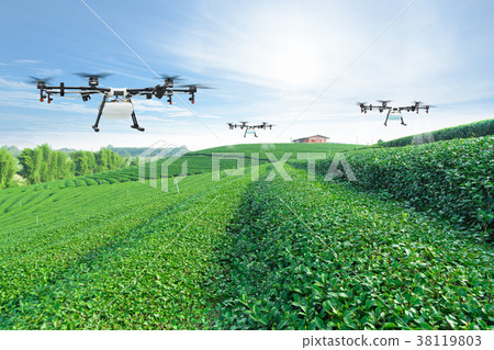 Agriculture drone fly spray on green tea field 38119803