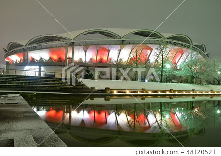 冬天的大天鵝點亮（新潟縣） 38120521