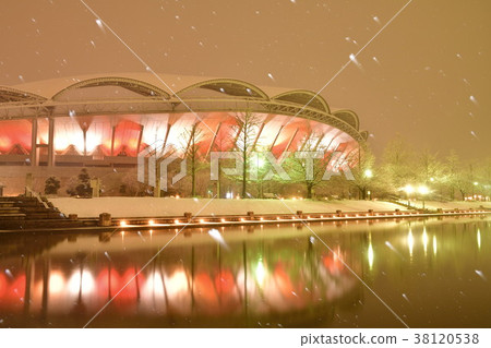 冬天的大天鵝點亮（新潟縣） 38120538