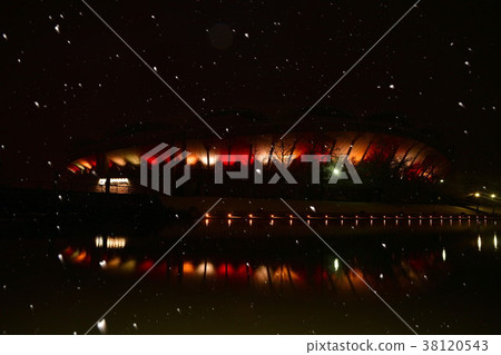 冬天的大天鵝點亮（新潟縣） 38120543