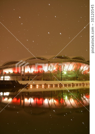 Winter's Big Swan Light Up (Niigata Prefecture) 38120545