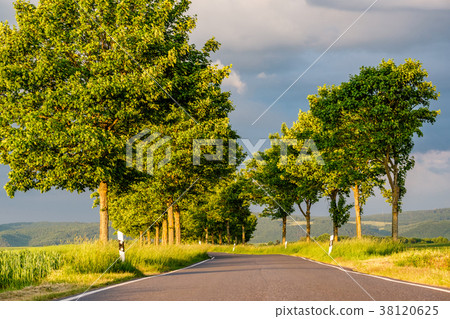 Rural road between fields  38120625