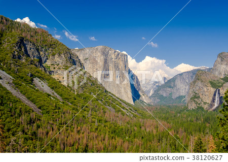 Yosemite National Park Valley summer landscape 38120627