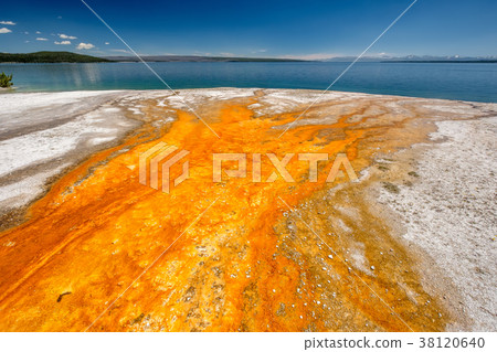 Hot thermal spring in Yellowstone 38120640