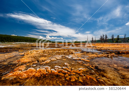 Hot thermal spring in Yellowstone 38120644
