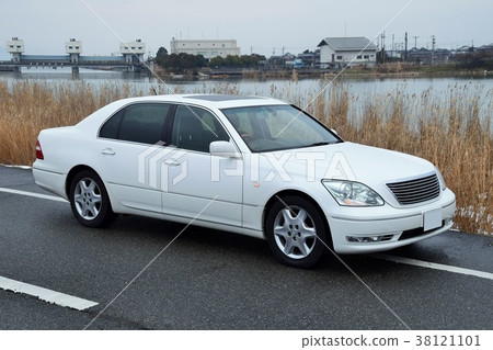 Celsior (CELSIOR) Celsior (CELSIOR) 38121101