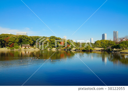 在Hamarikyu恩施公園的秋葉和湖面照耀的風景 在Hamarikyu恩施公園的秋葉和湖面照耀的風景 38122055
