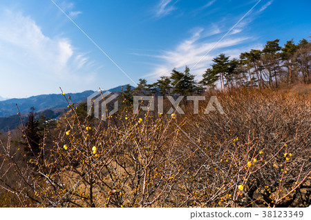 (Saitama Prefecture) to tell the spring · Lowbye of mountain climbing treasure climbing (Saitama Prefecture) to tell the spring · Lowbye of mountain climbing treasure climbing 38123349