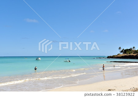 夏威夷的假期 夏威夷的假期 38123922