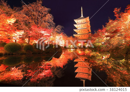 Autumn leaves of Toji Temple (nightly special visit) 38124015