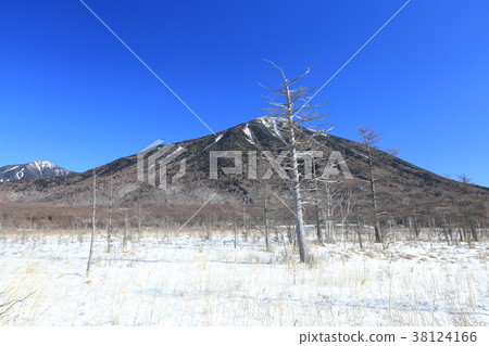 Senjogahara和Mt. Man山雪景 Senjogahara和Mt. Man山雪景 38124166