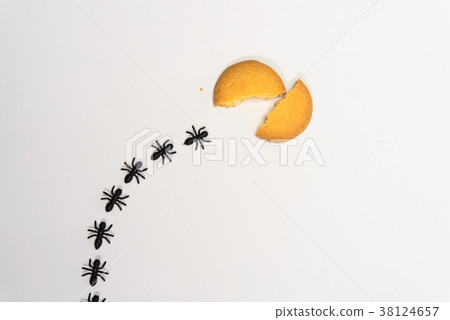 阿里的排 38124657