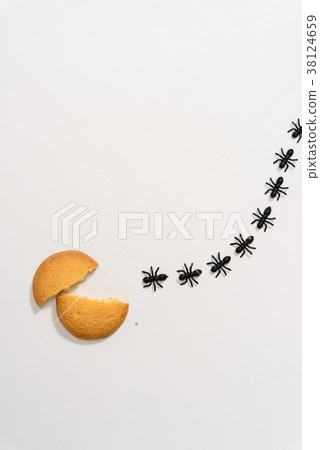 阿里的排 38124659