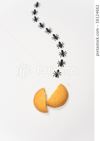 阿里的排 38124662