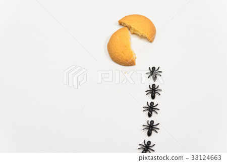 阿里的排 38124663