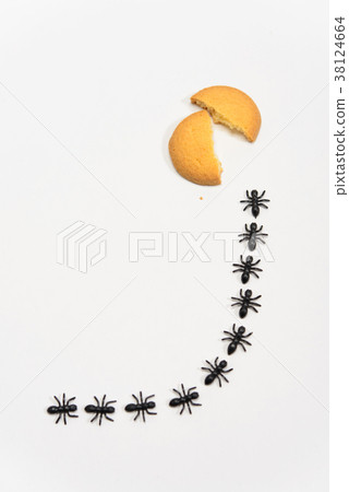 阿里的排 38124664