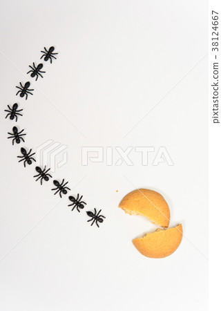 阿里的排 38124667