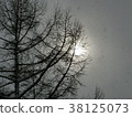 雪景長野 38125073