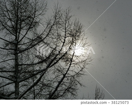 Snow scene Nagano 38125073