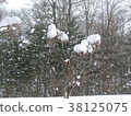 雪景長野 38125075