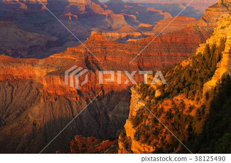 Grand Canyon  38125490