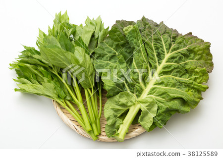 明天離開,羽衣甘藍 明天離開,羽衣甘藍 38125589