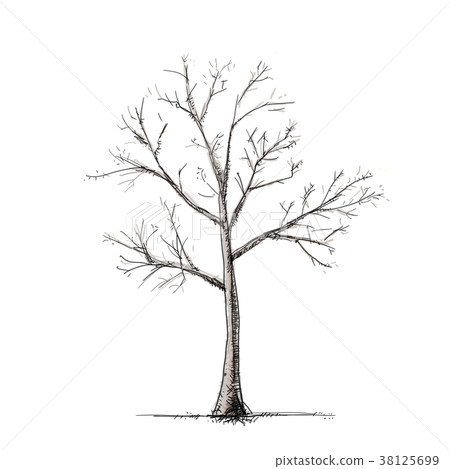 Trees (four seasons) Trees (four seasons) 38125699