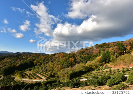 Mountain sky clouds early winter Mountain sky clouds early winter 38125761