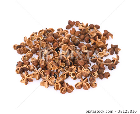 Zanthoxylum limonella on white background 38125810