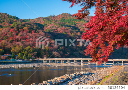 京都嵐山秋葉渡月橋 京都嵐山秋葉渡月橋 38126304