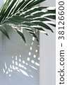 palm leaf with sunshade on white wall corner 38126600