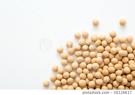 大豆 38126617