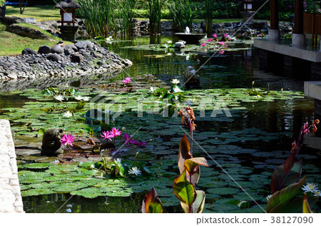 Hotels in Bali Hotels in Bali 38127090