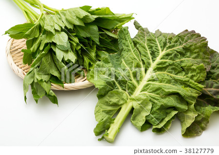 Tomorrow leaves, kale 38127779