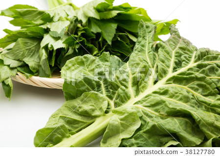 Tomorrow leaves, kale 38127780