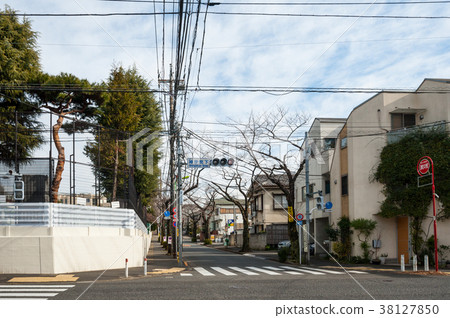 Tokyo Setagaya walk, Yonaka Nakamachi street the lower branch school intersection Tokyo Setagaya walk, Yonaka Nakamachi street the lower branch school intersection 38127850