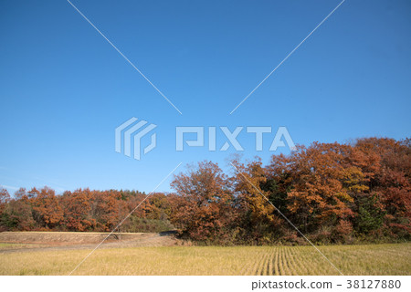 Autumn scenery with colored leaves of village 38127880