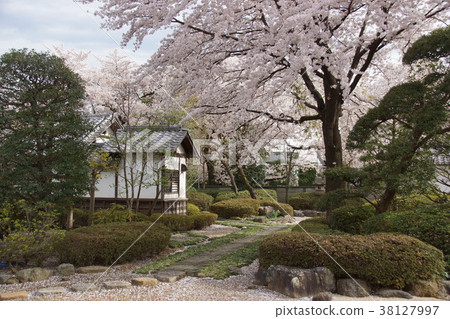 Kawagoe Castle Honmaru Gotemba 38127997