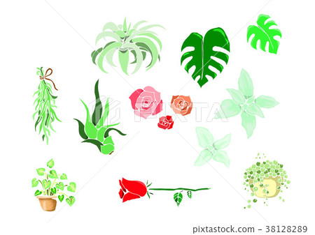 植物插圖 38128289
