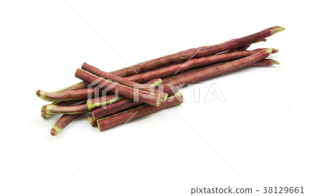 purple bean isolated 38129661