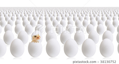 egg egg 38130752