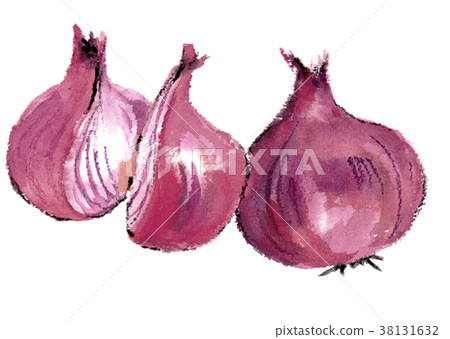 紫洋蔥紅洋蔥 紫洋蔥紅洋蔥 38131632
