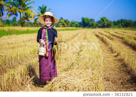 farmer woman with tiffin carrier in rice field 38132821