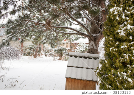 Snow covered backyard. 38133153