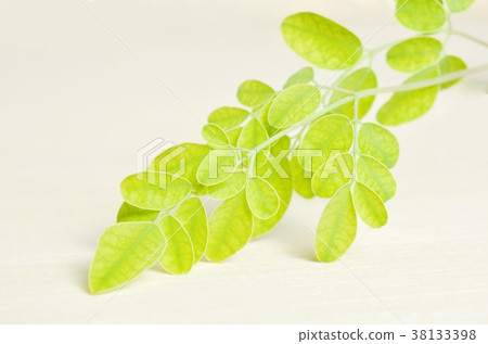 Moringa leaf on wooden board background Moringa leaf on wooden board background 38133398