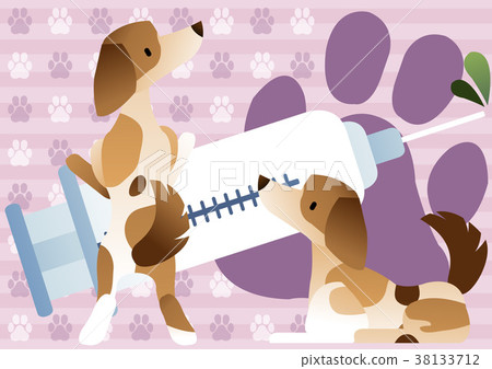 Animal Hospital 38133712