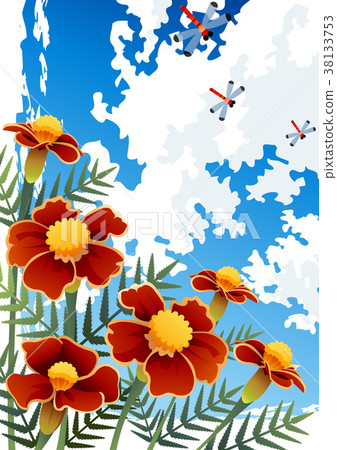 花 昆蟲 蜻蜓 38133753