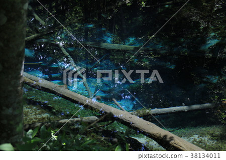 God's Pond God's Pond 38134011